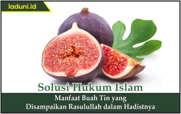 Manfaat Buah Tin yang Disampaikan Rasulullah dalam Hadisnya