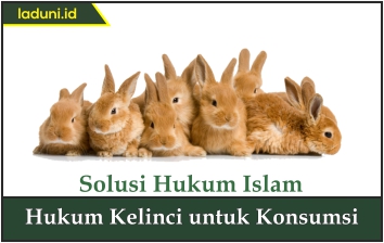 Hukum Kelinci untuk Konsumsi