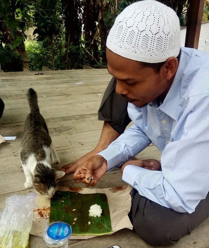 Mengharukan Kisah Sang Penyayang Kucing