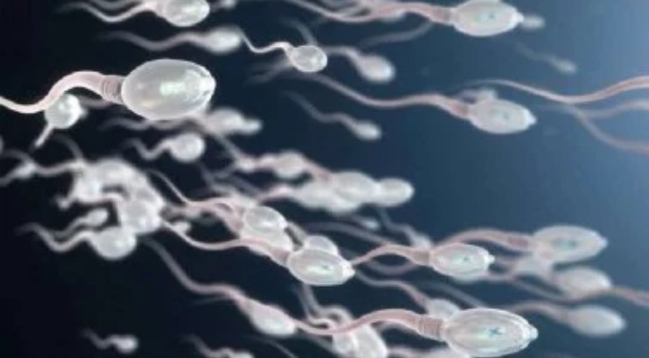 Awas, Sinyal WiFi Sebabkan Sperma Mati