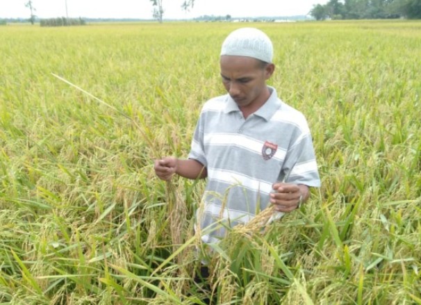 Sang Geuchik Alumni IAI Al-Aziziyah Meraih Juara Nasional #3