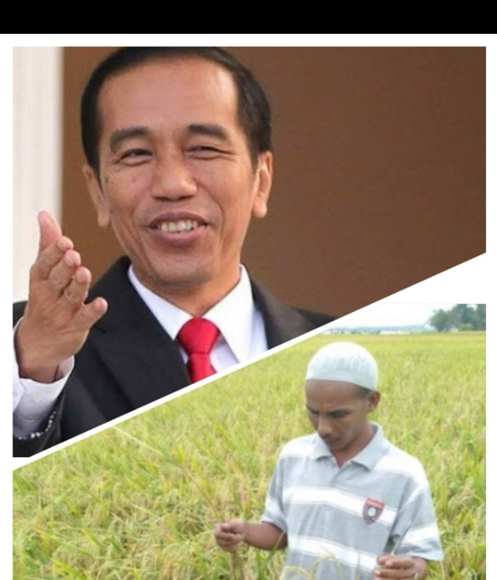 Kenginan Jokowi Melihat Langsung Karya Alumni IAI al-Aziziyah Samalanga #2