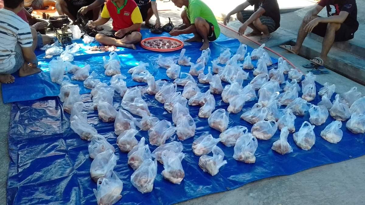 MUI Perbolehkan Distribusi Daging Kurban dalam Bentuk Olahan