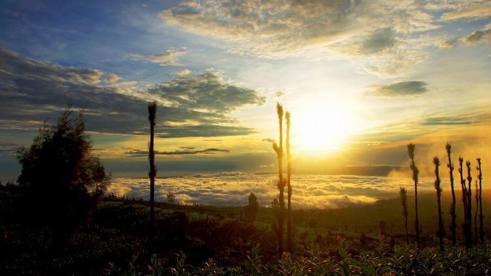 Ingin Liburan? Coba Kunjungi Dataran Tinggi Posong di Temanggung, Alamnya Wow...