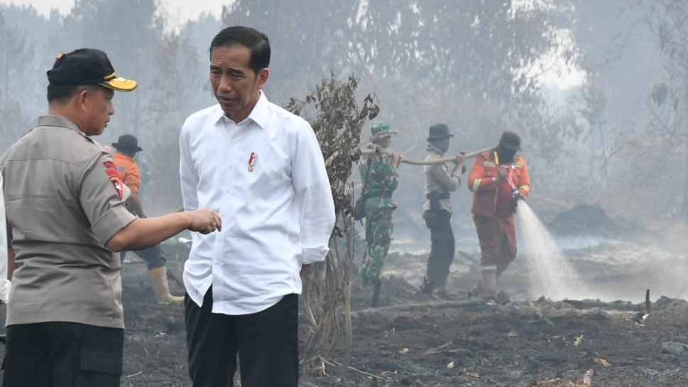 Proyek Membakar Hutan Demi Cuan, Pemerintah dan Rakyat Dirugikan