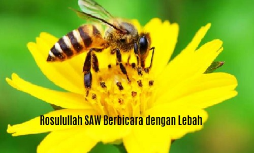 Rasulullah SAW Berbicara dengan Seekor Lebah