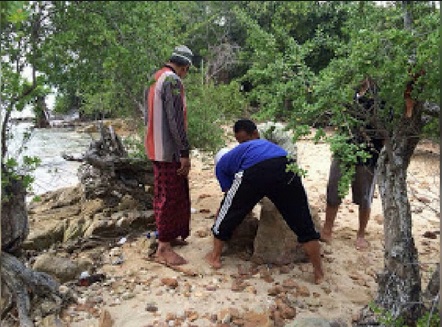 Catatan Sejarah: Menyingkap Makam Waliyullah Syekh Maulana Nuh Maghrobi di Pulau Tulub