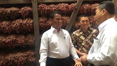 2014 Indonesia sebagi Pengimport, 2018 Indonesia Targetkan Eksport 15 Ribu Ton Bawang Merah