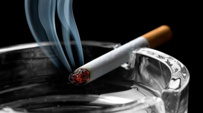 Bahaya Tar Pada Rokok Tidak Hanya Menyerang Paru-paru Tetapi Juga Saraf