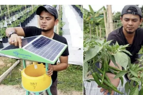 Ogah Cari Kerja, Sarjana Ini Pilih Jadi Petani Cabai! Hasilnya Wow Banget Netz  