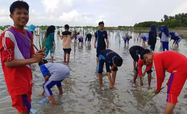 OSIS MTs Al-Hasan Tanam Pohon Mangrove