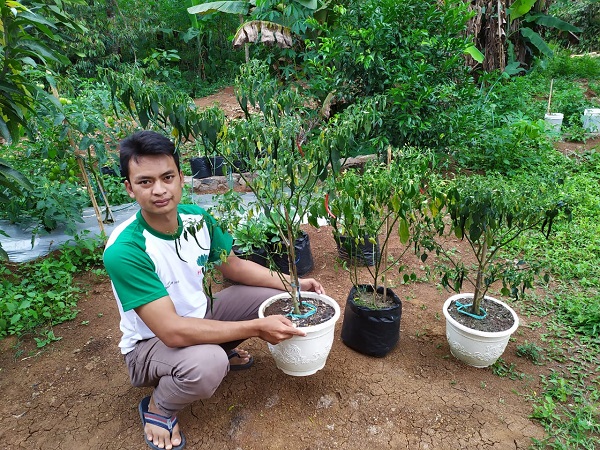 Cabai Mahal, LPPNU Cianjur Ajak Masyarakat Tanam Sendiri