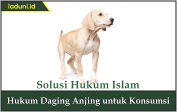 Hukum Daging Anjing untuk Konsumsi