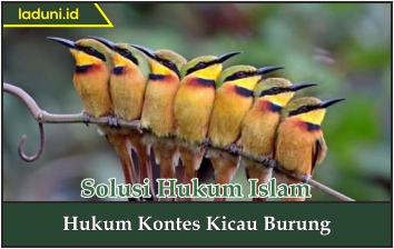 Hukum Kontes Kicau Burung