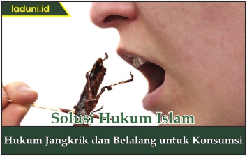 Hukum Jangkrik dan Belalang untuk Konsumsi