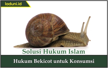 Hukum Bekicot untuk Konsumsi