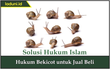 Hukum Bekicot untuk Jual Beli