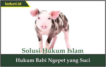 Hukum Babi Ngepet