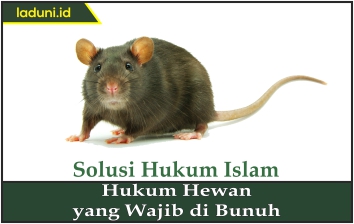 Hukum Hewan yang Wajib Dibunuh