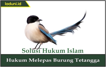 Hukum Melepas Burung Tetangga