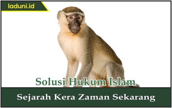 Sejarah Kera Zaman Sekarang