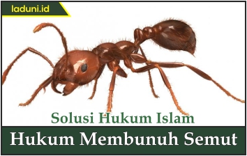 Hukum Membunuh Semut