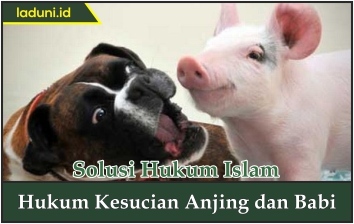 Hukum Kesucian Anjing dan Babi