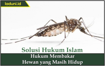 Hukum Membakar Hewan yang Masih Hidup