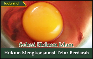 Hukum Mengkonsumsi Telur Berdarah