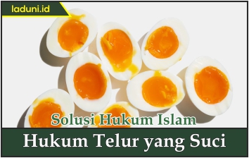 Hukum Telur yang Suci