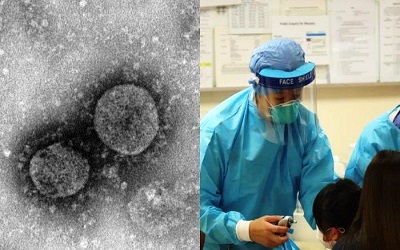 Tentang Perjalanan Virus di Tubuh Manusia