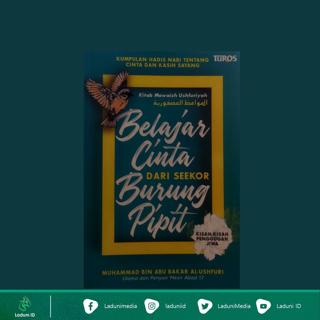 Belajar Cinta dari Seekor Burung Pipit