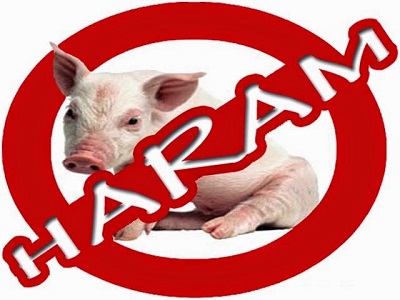 Kenapa Daging Babi Diharamkan Dalam Islam ?