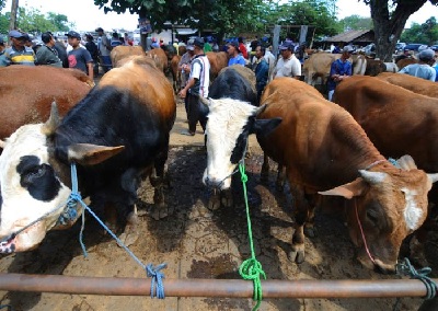 Empat Bisnis Dadakan yang Menjanjikan Jelang Hari Raya Idul Adha