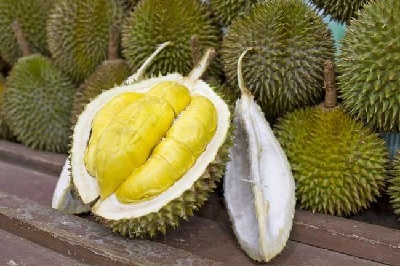 Buah Durian Menjadi Salah Satu Komoditas Eksport Terfavorit Dunia