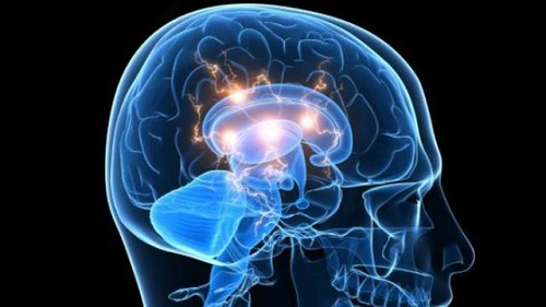 Jarang Diketahui, 7 Cara Ini Efektif Tingkatkan Fungsi Otak