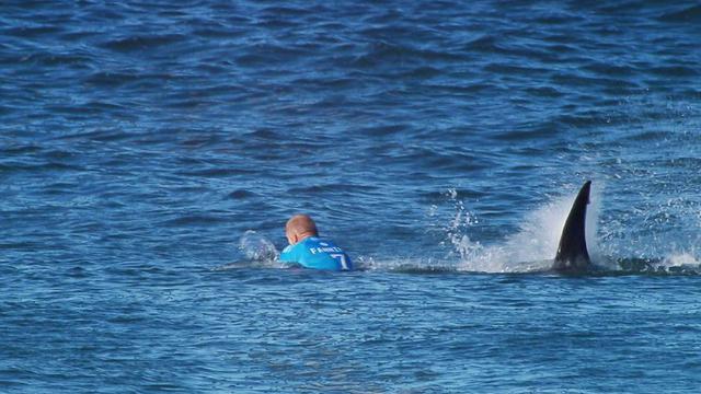 Keganasan Hiu Akibatkan Turis AS Tewas Saat Berenang di Hawaii