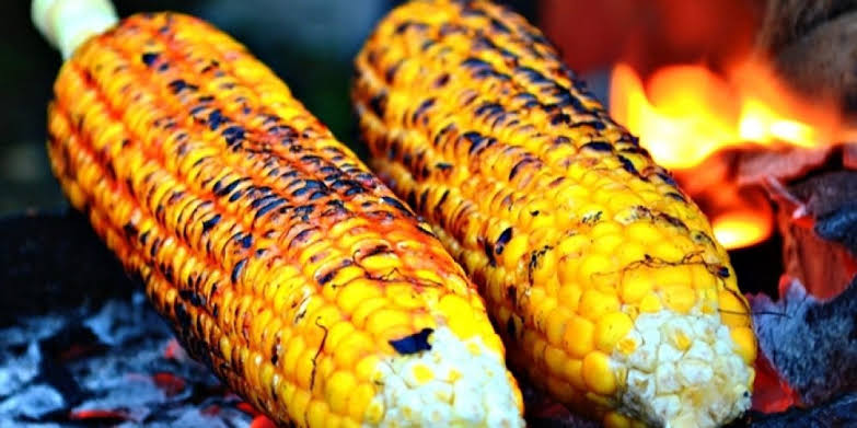 Mulai dari Wakil Bupati hingga Jagung Bakar asal Pidie Sambil Menanti Kemajuan Kota Juang