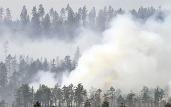 Gelombang Panas Eropa: Kebakaran Hutan, Aspal Meleleh sampai Reaktor Nuklir Ditutup
