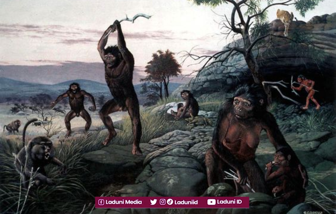 Benarkah Manusia Berasal dari Ras Kera (Australopithecus)?