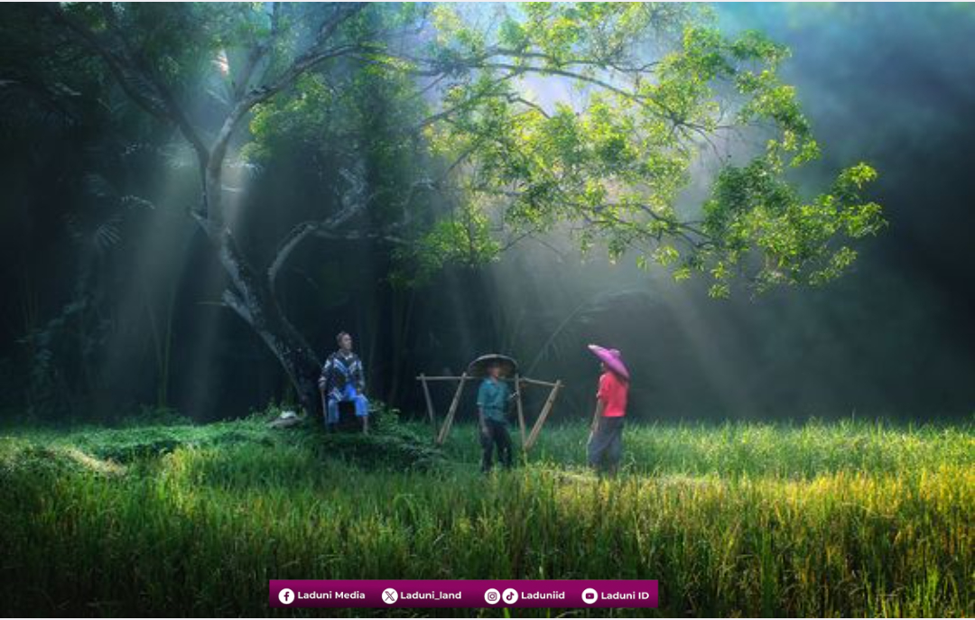 Kepekaan Belajar di Sekolah Kehidupan