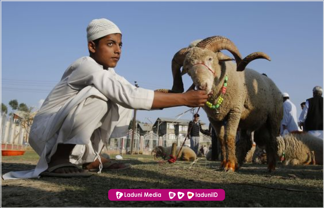 Menyoal Qurban untuk Orang yang Telah Meninggal