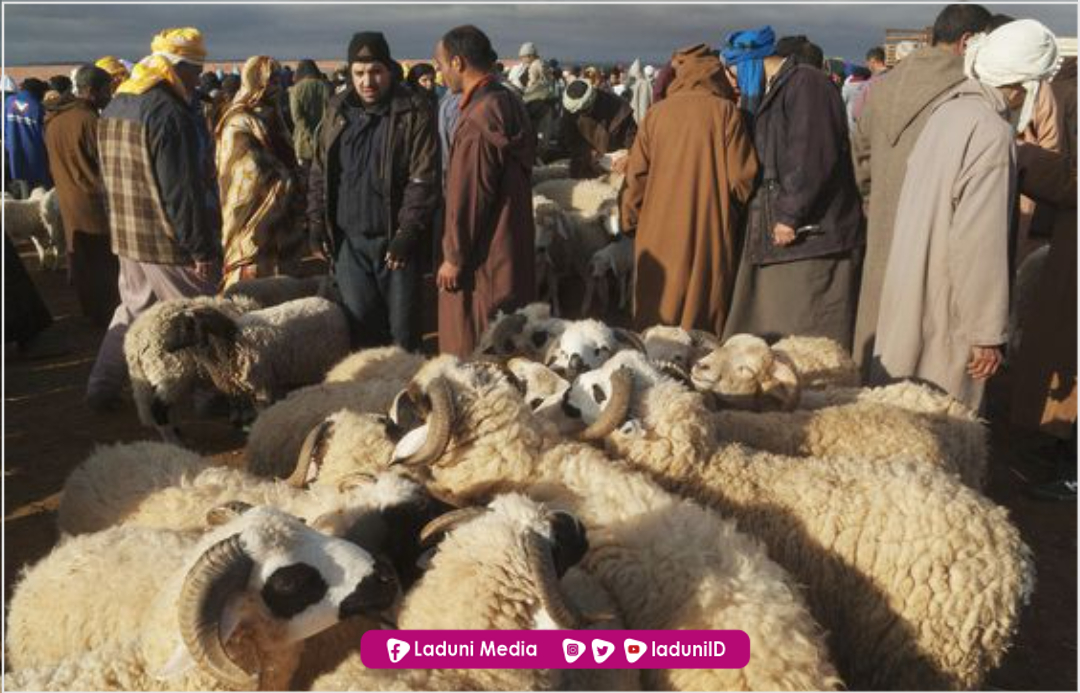 Doa Menyembelih Hewan Qurban dalam Berbagai Riwayat