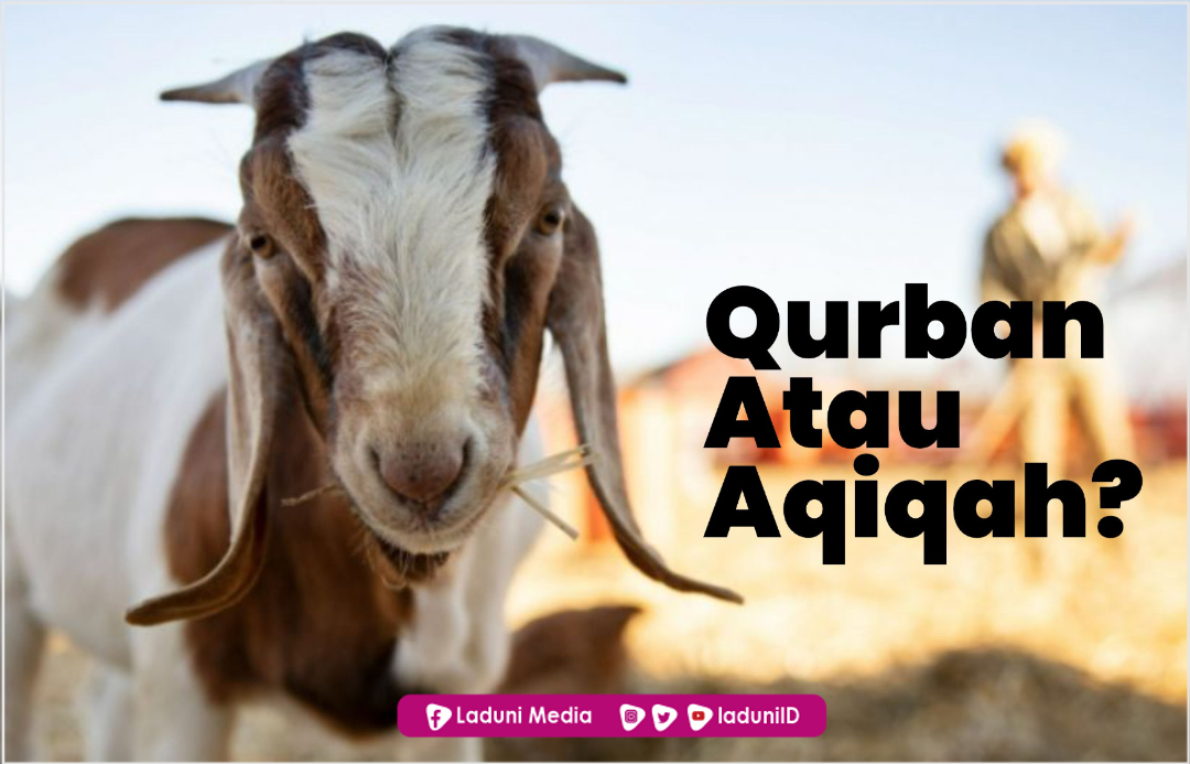 Qurban atau Aqiqah Dulu?