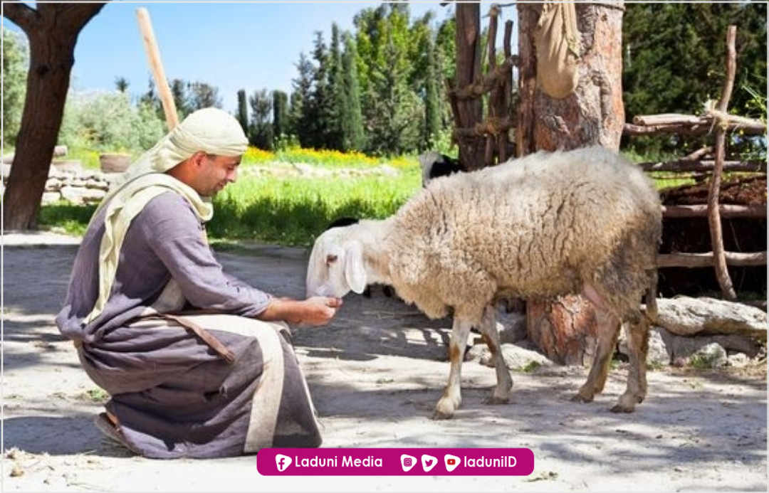 Keistimewaan Ibadah Qurban dan Sejarahnya