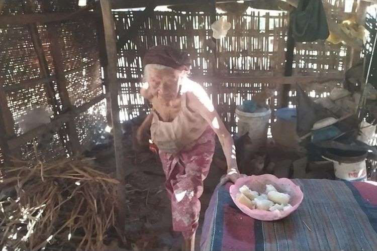 Nenek Ini Rela Tidur dan Makan Sepiring dengan 8 Ekor Kucing