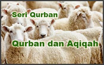 Niat Qurban dan Aqiqah