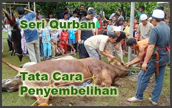 Tata Cara Penyembelihan Hewan Qurban Hewan Qurban Dan Aqiqah